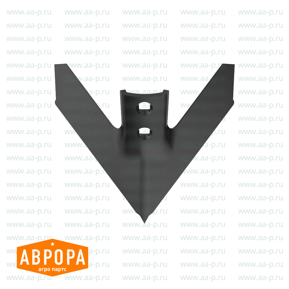 N182041 СТРЕЛЬЧАТАЯ  ЛАПА